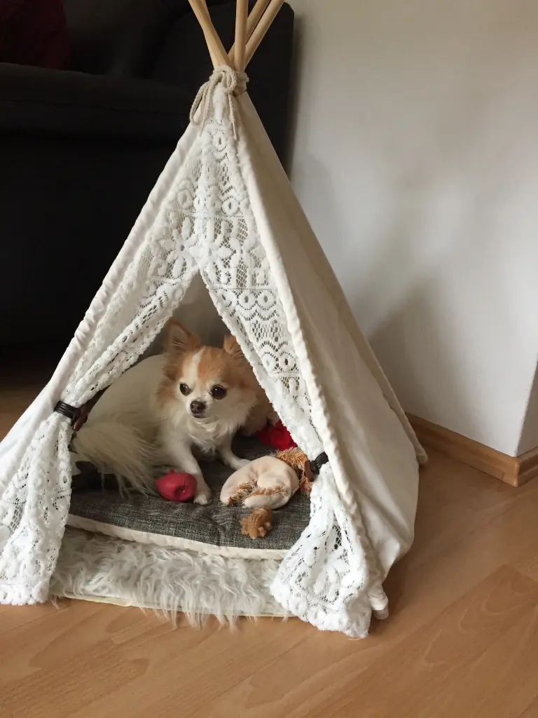 Andachtsbild von Mein kleines süßes Engelchen 