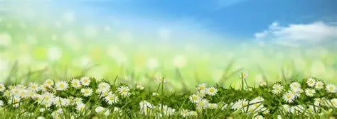 Andachtsbild von von Ina