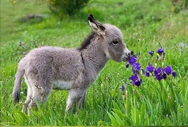 Andachtsbild von  Liebe Grüße 