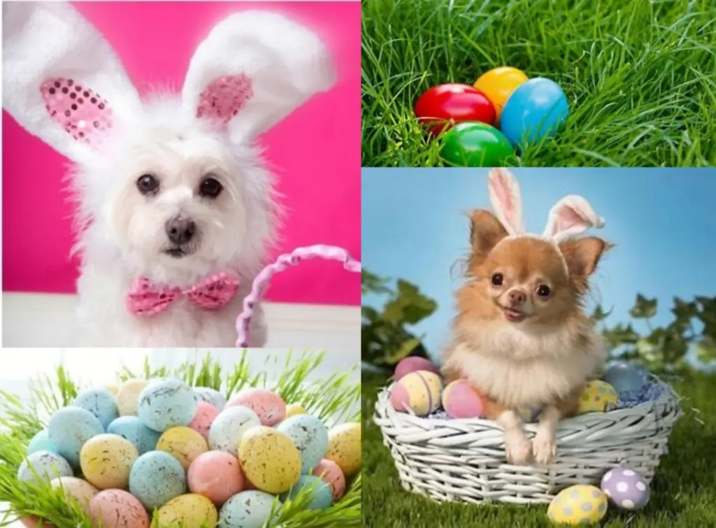 Andachtsbild von Grüße von Snowy