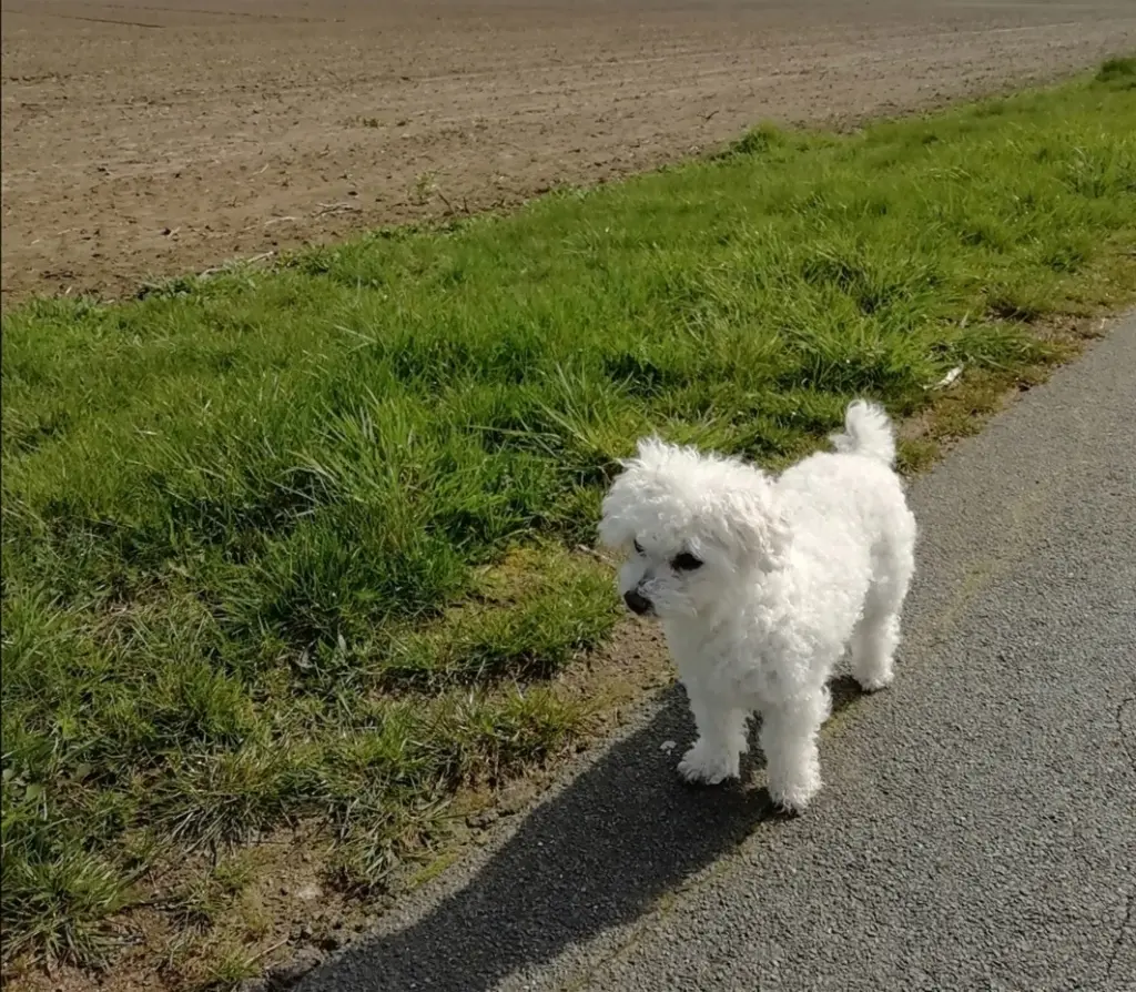 Andachtsbild von Für Birgit von Snowy