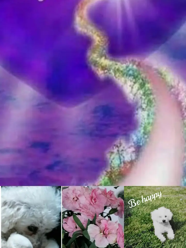 Andachtsbild von Für Birgit