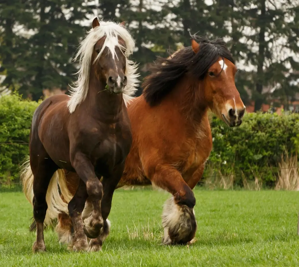 Andachtsbild von für Birgit ❤️