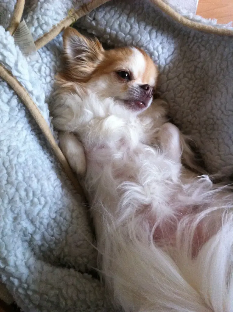 Andachtsbild von ♥️♥️♥️♥️