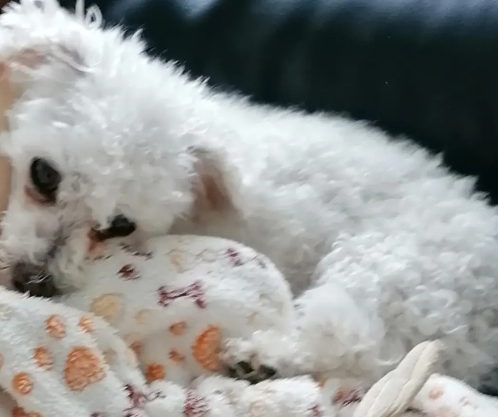 Andachtsbild von Von Gaby