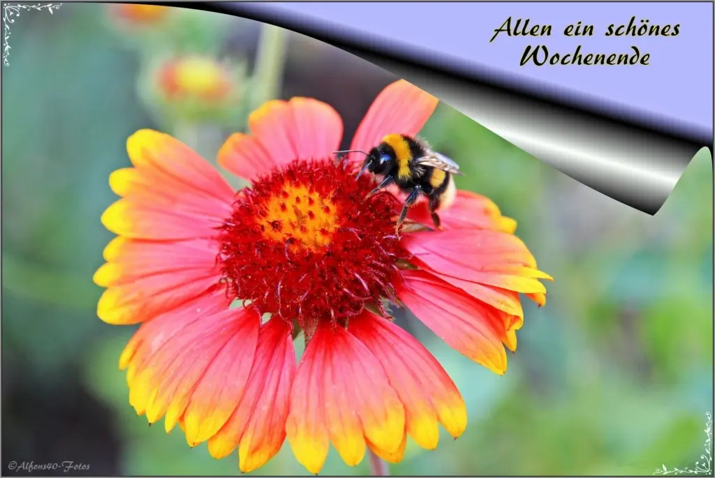 Andachtsbild von Ina Erberich