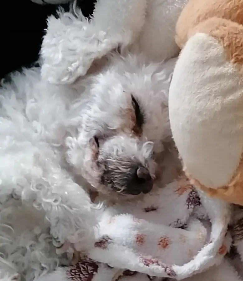 Andachtsbild von ❤️❤️❤️