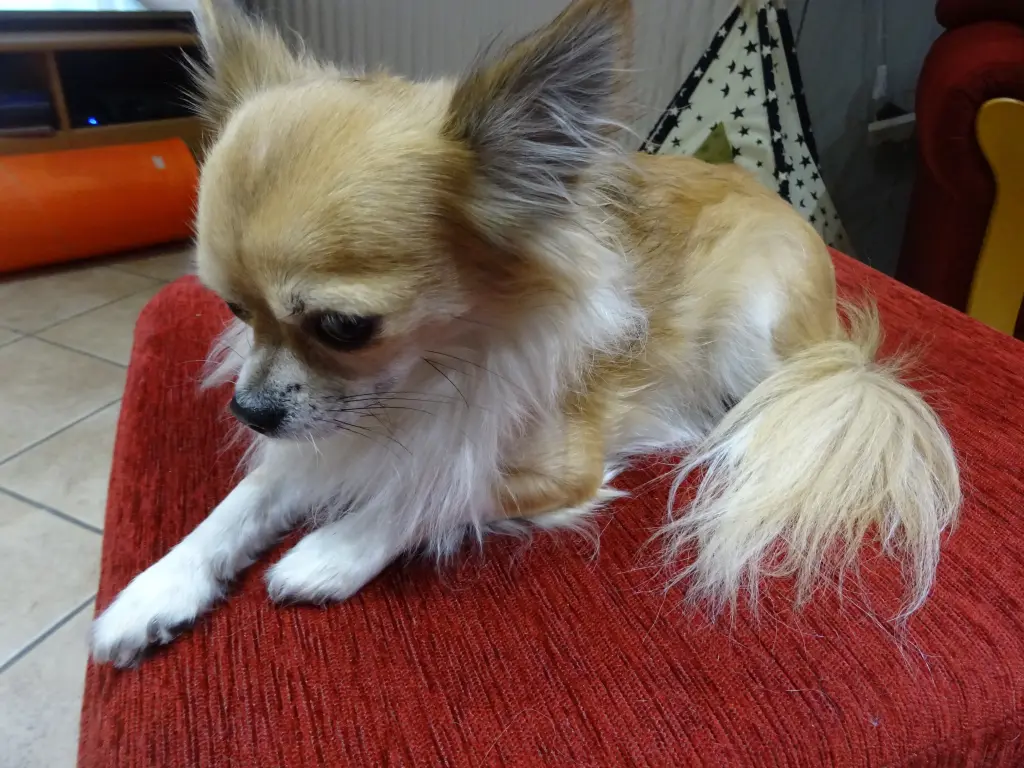 Andachtsbild von Ina Erberich