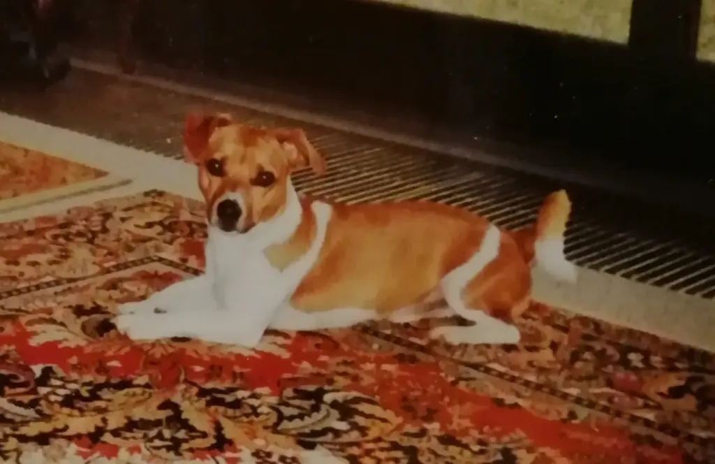 Andachtsbild von Tommy ❤️