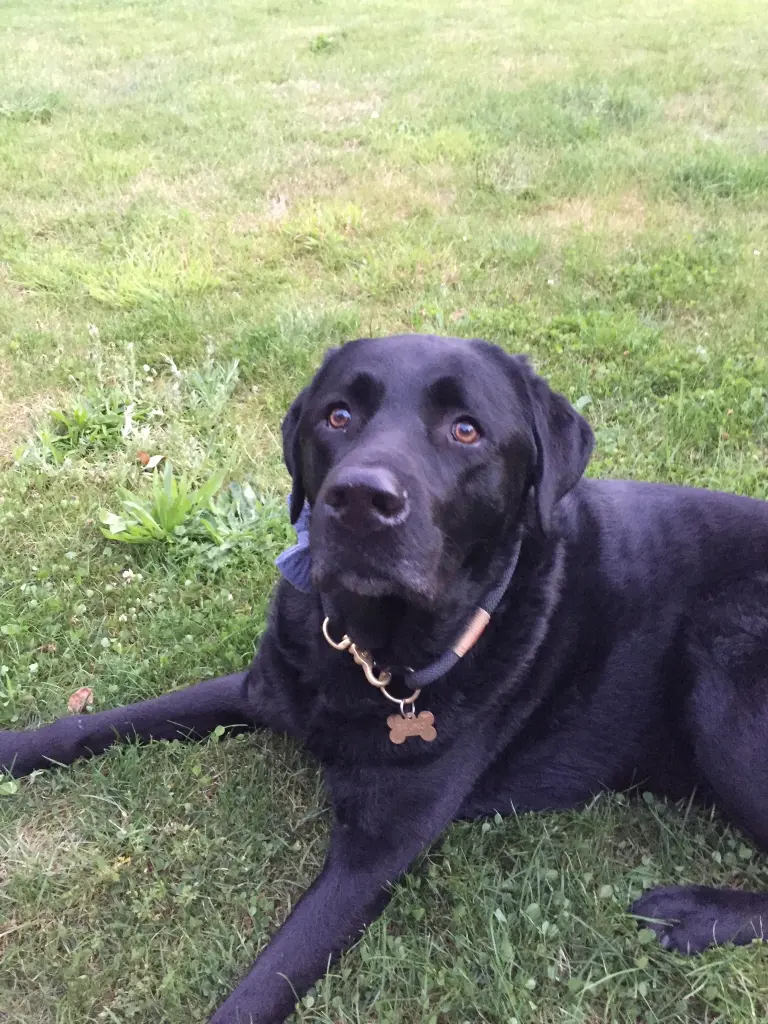 Andachtsbild von Für Shila und Pat