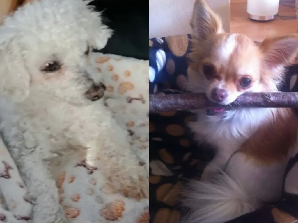 Andachtsbild von From Heaven ❤️