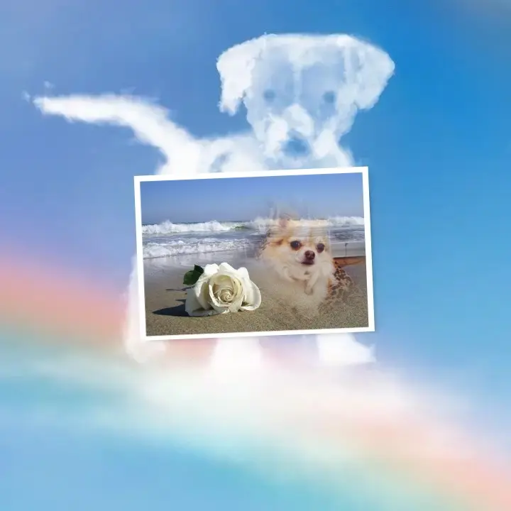 Andachtsbild von Sonntags❤️Rosen❤️❤️❤️❤️❤️❤️