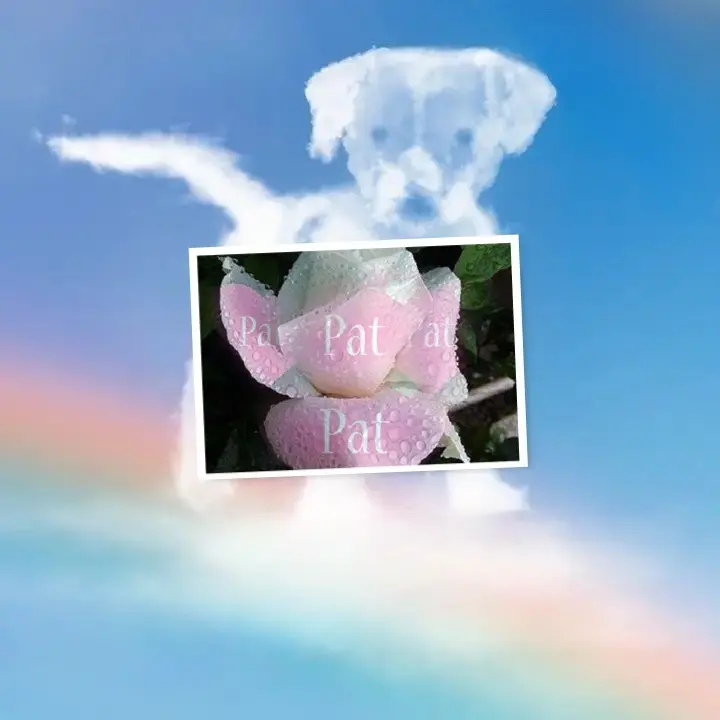 Andachtsbild von ❤️❤️❤️❤️❤️❤️❤️❤️❤️❤️❤️❤️