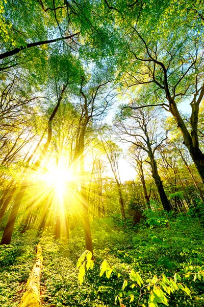 Andachtsbild von ❤️ Ostern 2023 ❤️