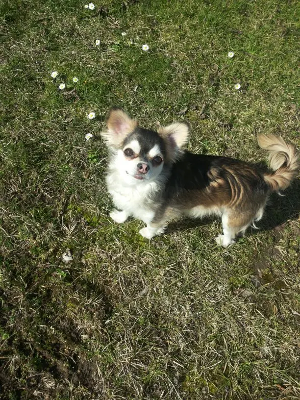 Andachtsbild von Ina Erberich