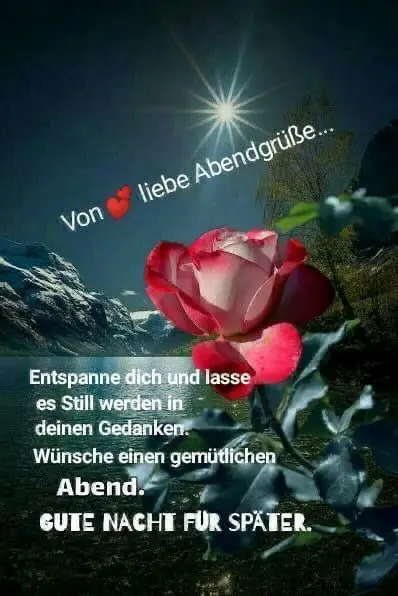 Andachtsbild von Ina mit Balu