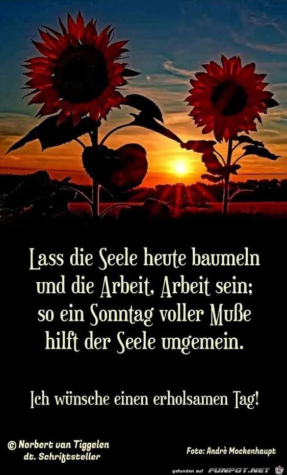 Andachtsbild von ❤️ Sonnenstrahlen ❤️
