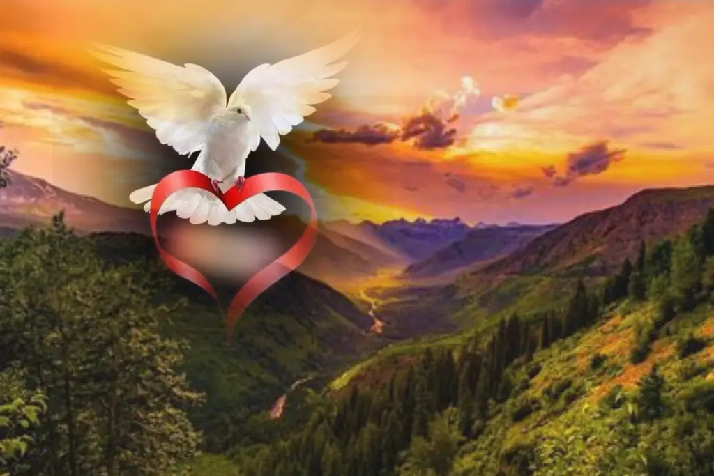 Andachtsbild von ❤️Peace of hope❤️