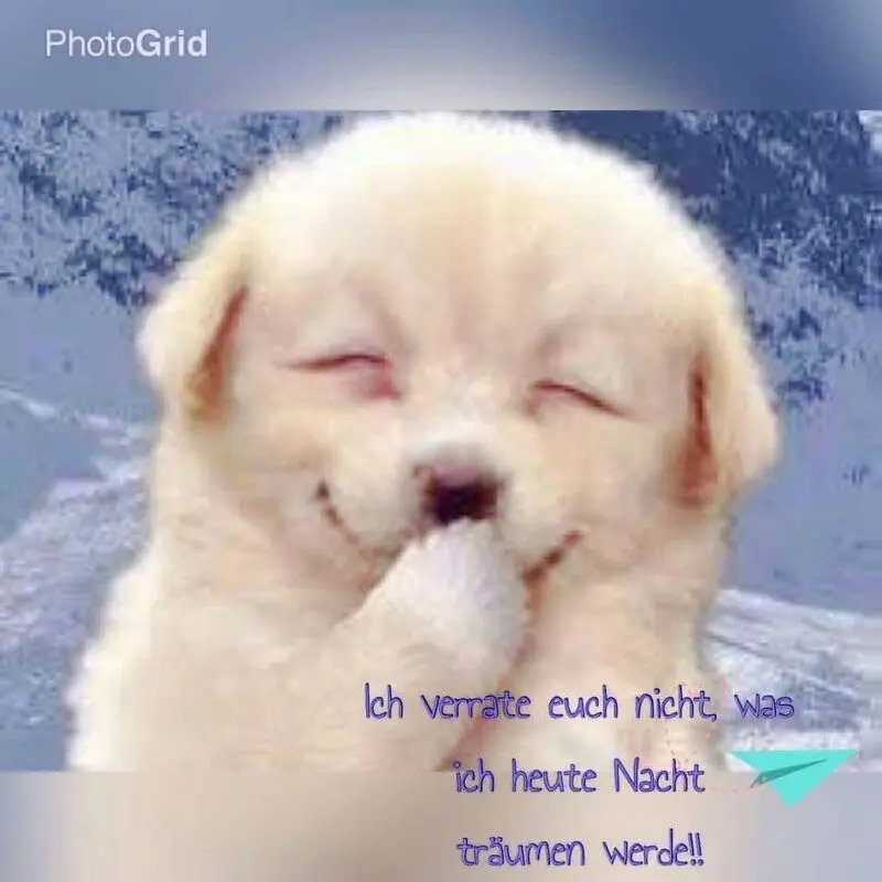 Andachtsbild von ⭐️❤️⭐️ Gute Nacht Freunde ⭐️❤️⭐️