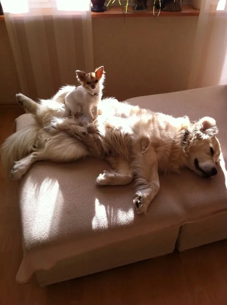 Andachtsbild von ❤️ Ewige Liebe ❤️