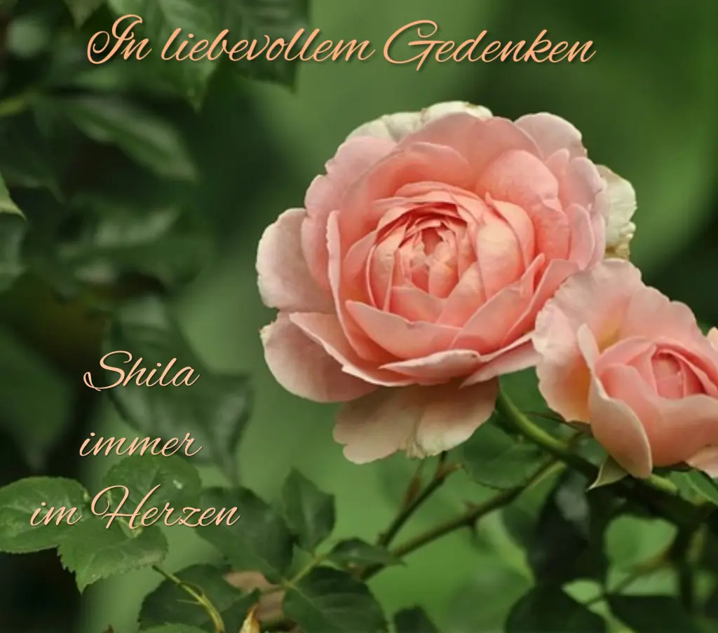 Andachtsbild von 31 Monate... Sehnsucht ❤️