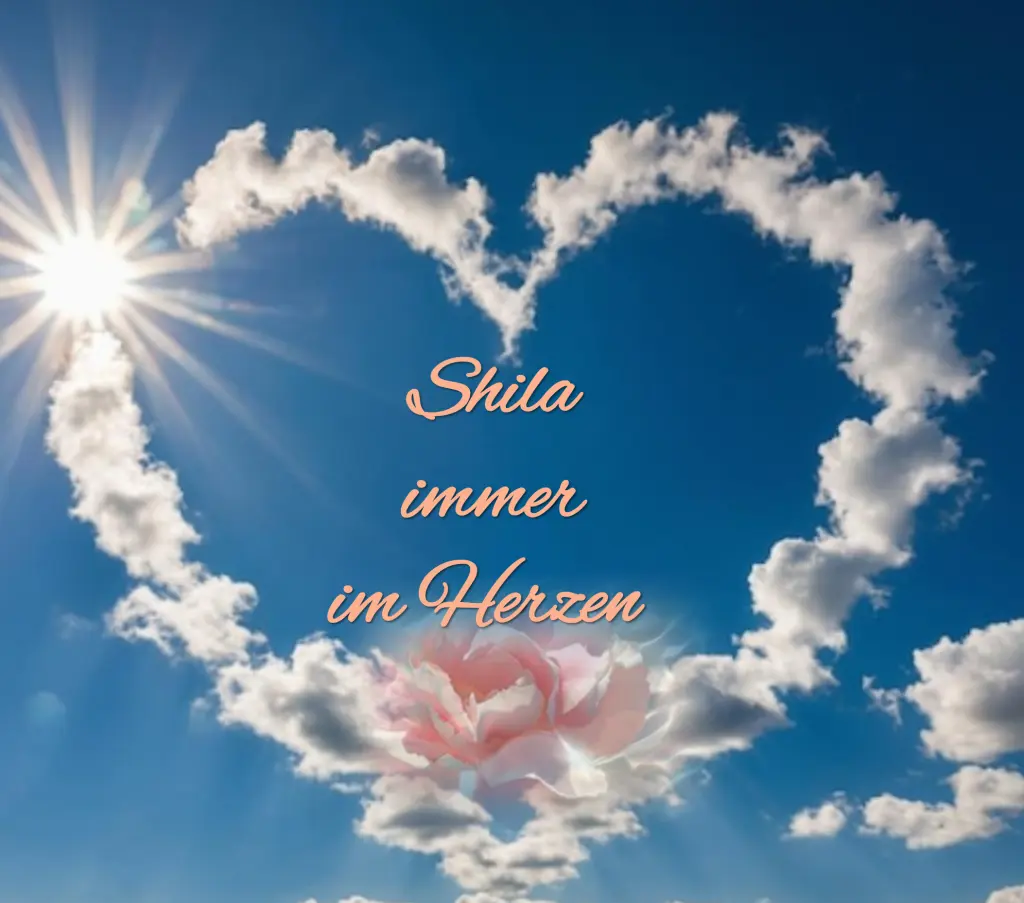 Andachtsbild von 33..Monate* Sehnsucht