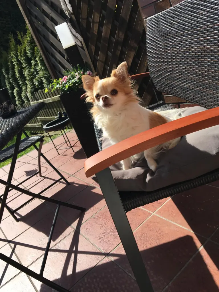 Bild von Shila