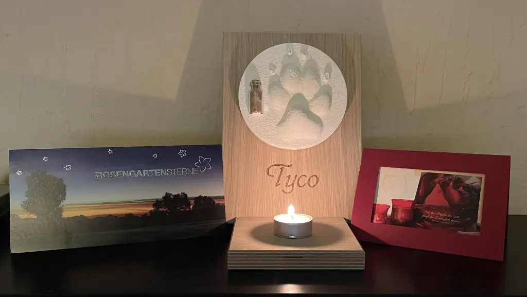 Image from Tyco