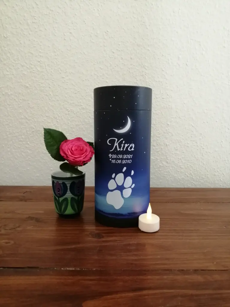 Image from Kira