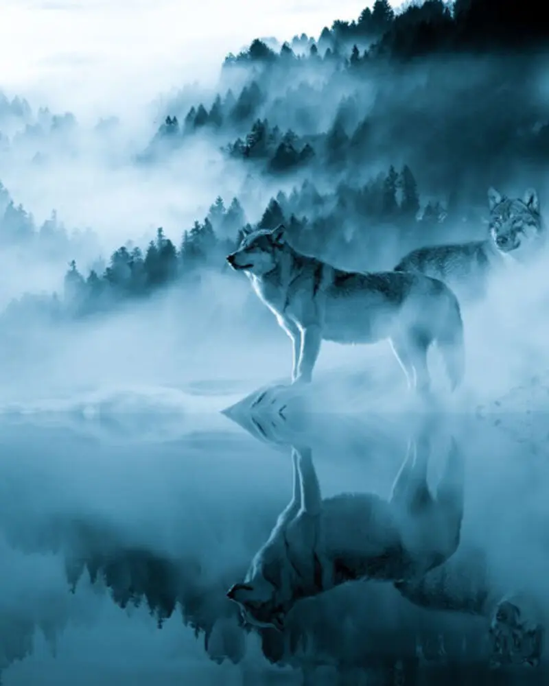 Condolence image of Sven