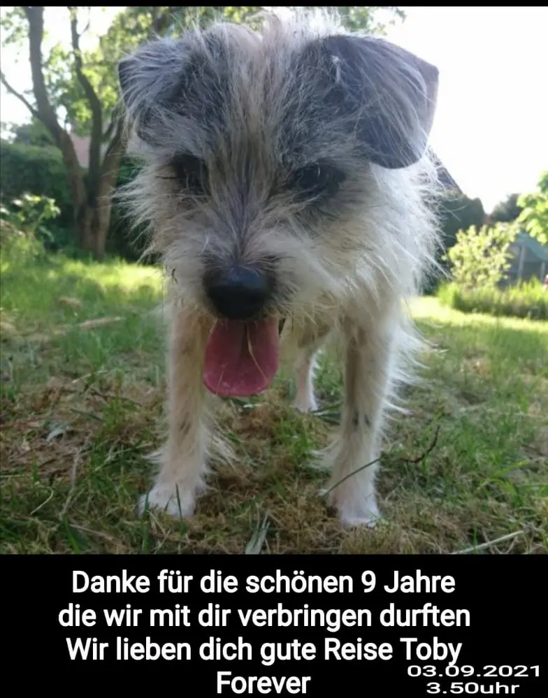 Image from Tobias