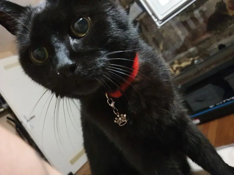 Condolence image of Sabrina 