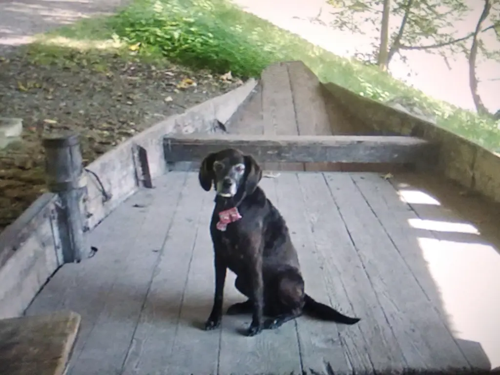 Andachtsbild von Erika