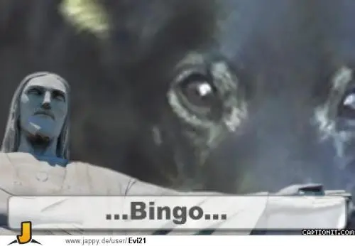 Bild von bingo