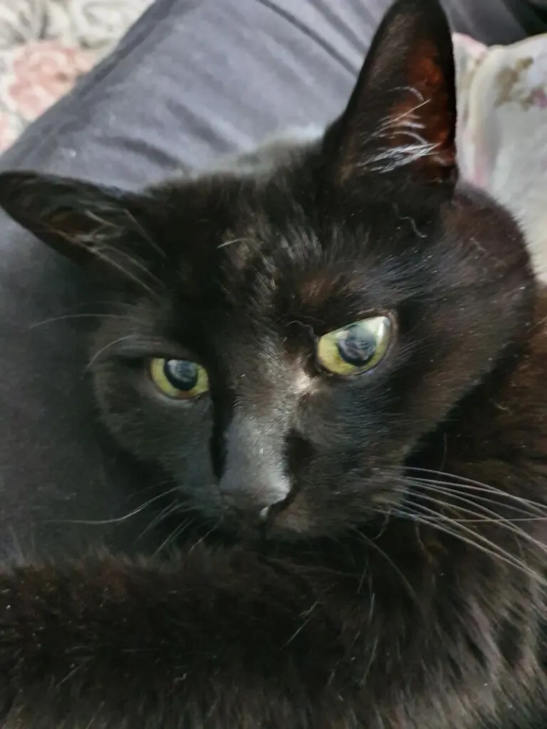 Condolence image of Sabrina