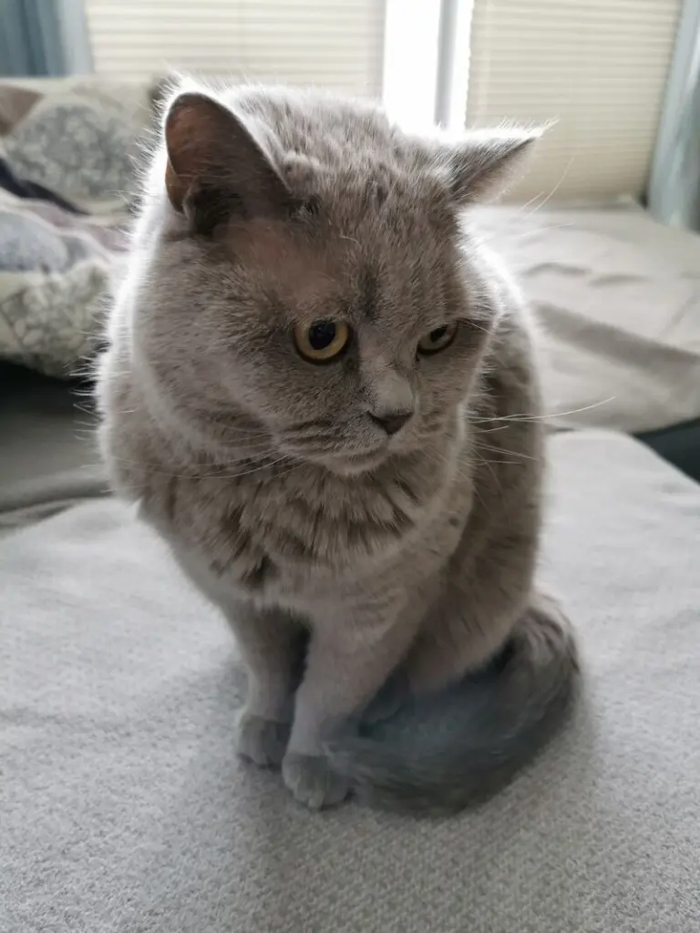 Andachtsbild von Carmen Weber