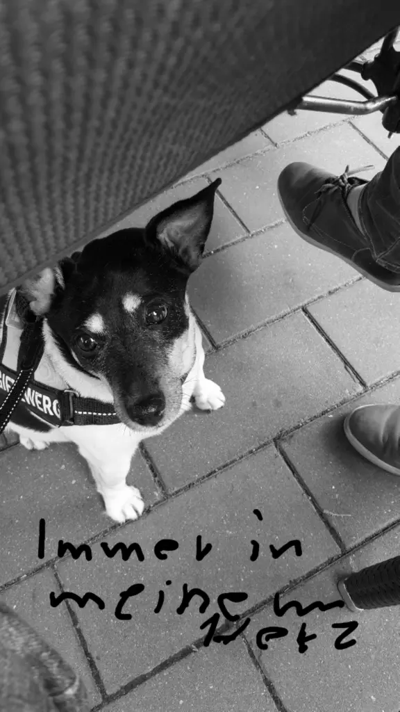 Image from Jacky