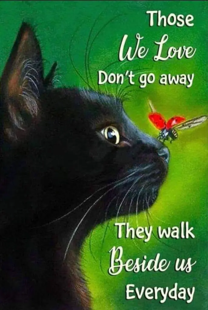 Condolence image of Sabrina