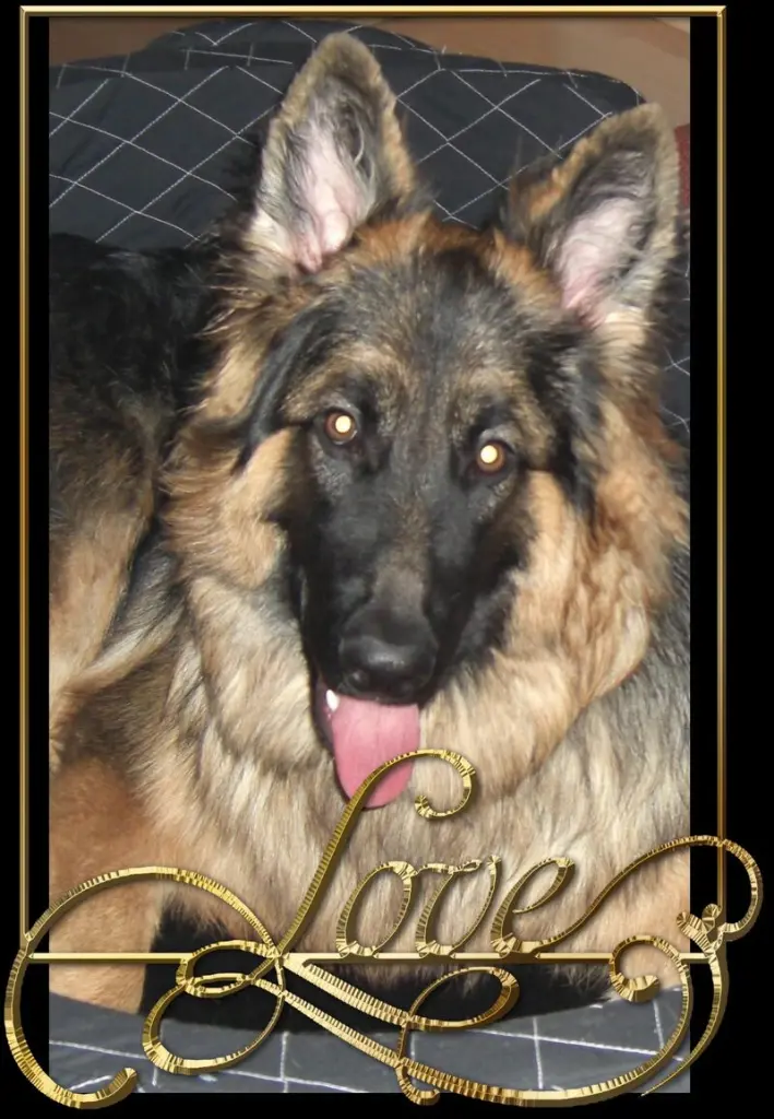 Andachtsbild von ❤️❤️❤️❤️❤️❤️❤️❤️❤️❤️❤️❤️❤️❤️