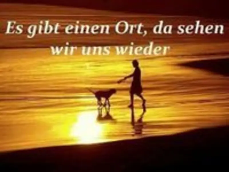 Andachtsbild von Sabine mit Luna & Milo tief im Herzen