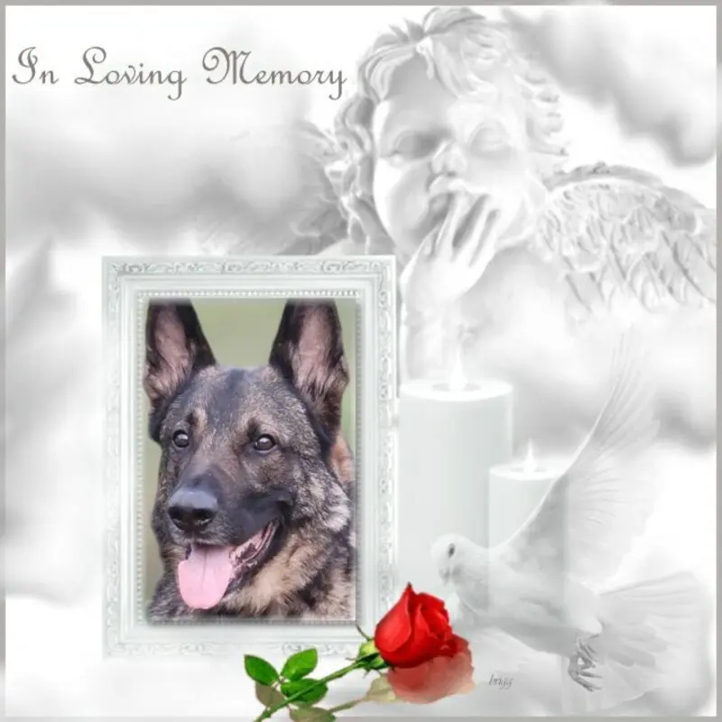 Andachtsbild von ❤️❤️❤️❤️❤️❤️❤️❤️❤️❤️❤️❤️❤️❤️