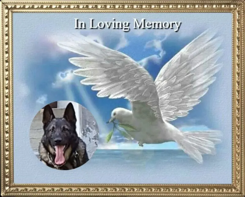 Andachtsbild von Fur Benchen❤️