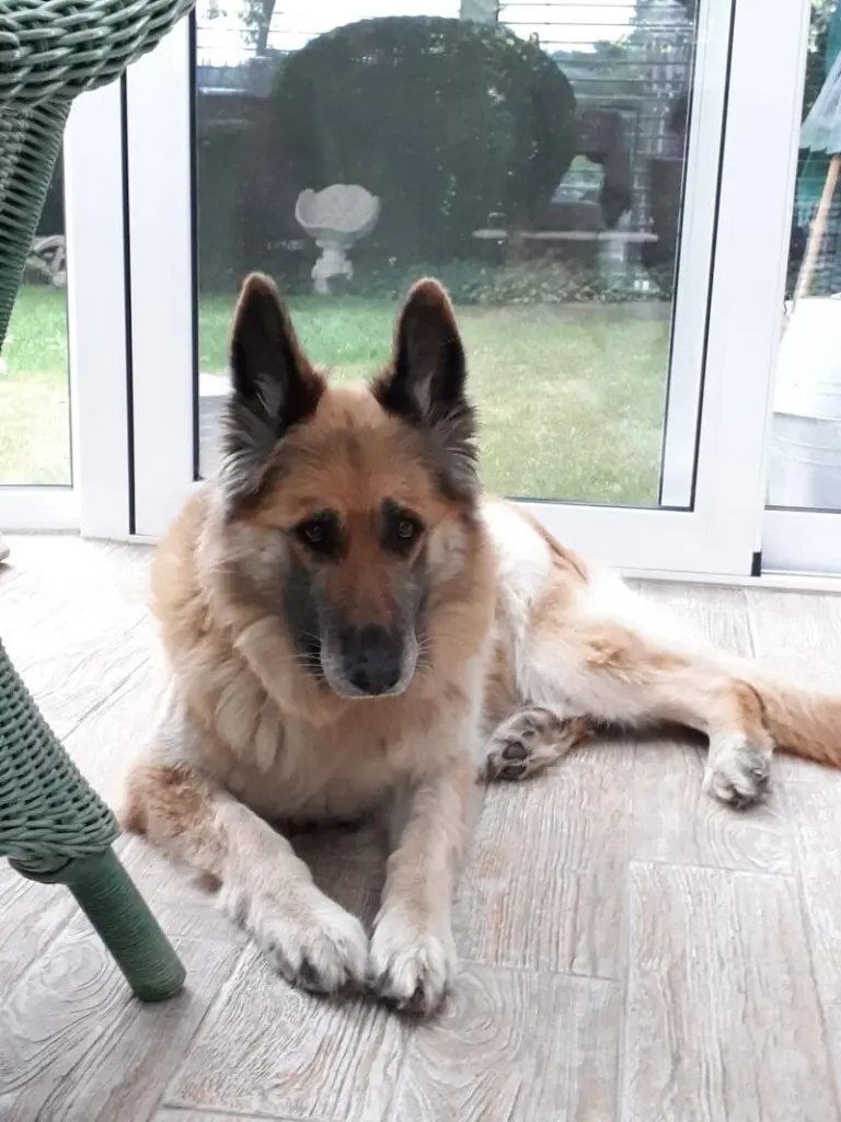 Andachtsbild von Margit