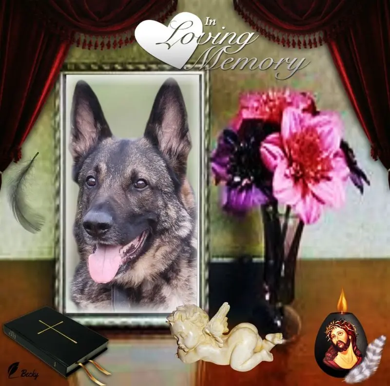 Andachtsbild von Jutta mit Purzel tief im Herzen  ✟ 08.05.2016 