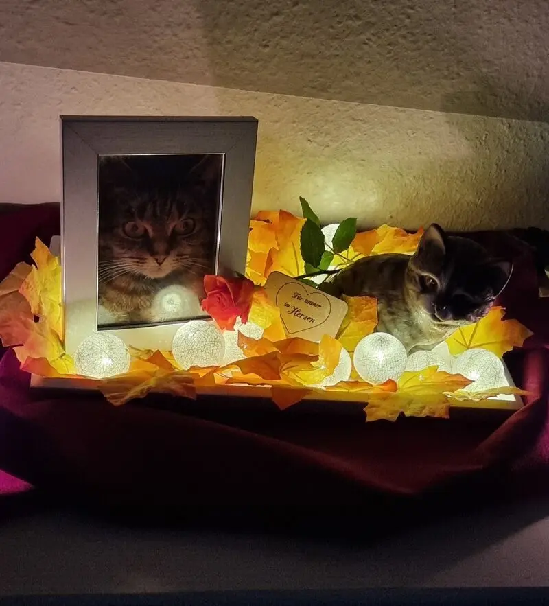 Condolence image of Carmen mit Lilly 