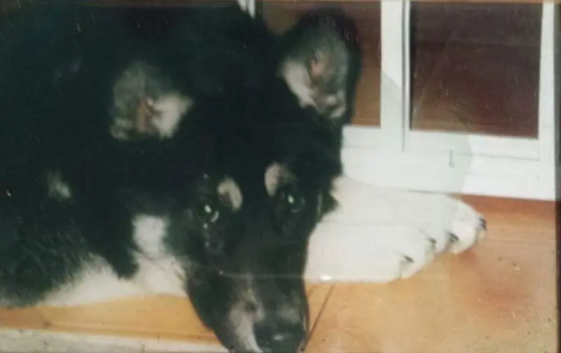 Condolence image of Silke Stolzenberg