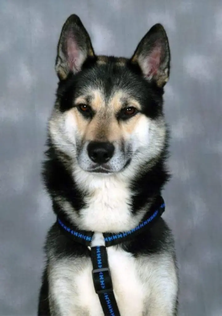Condolence image of Kathrin
