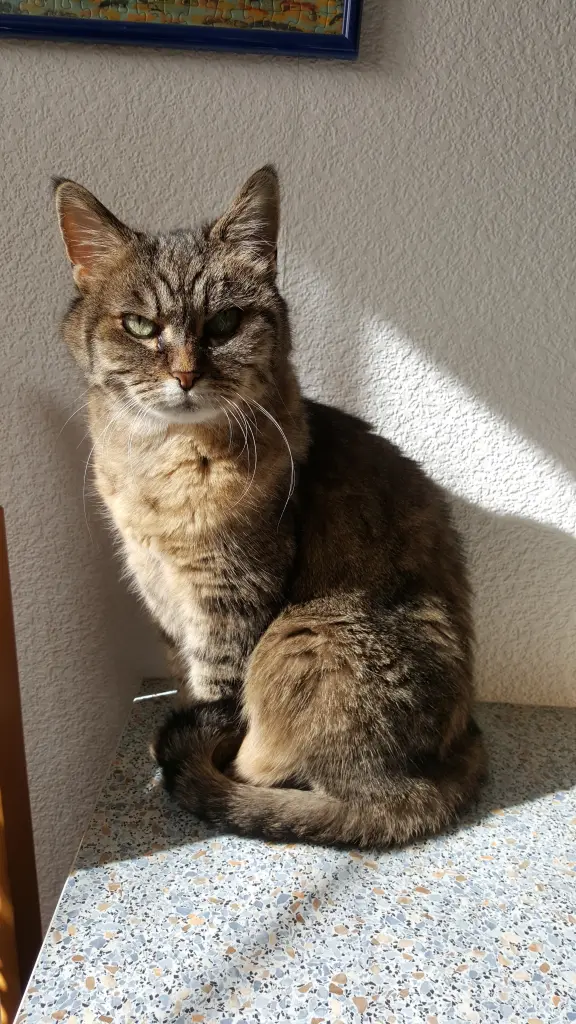 Image from Piepsie