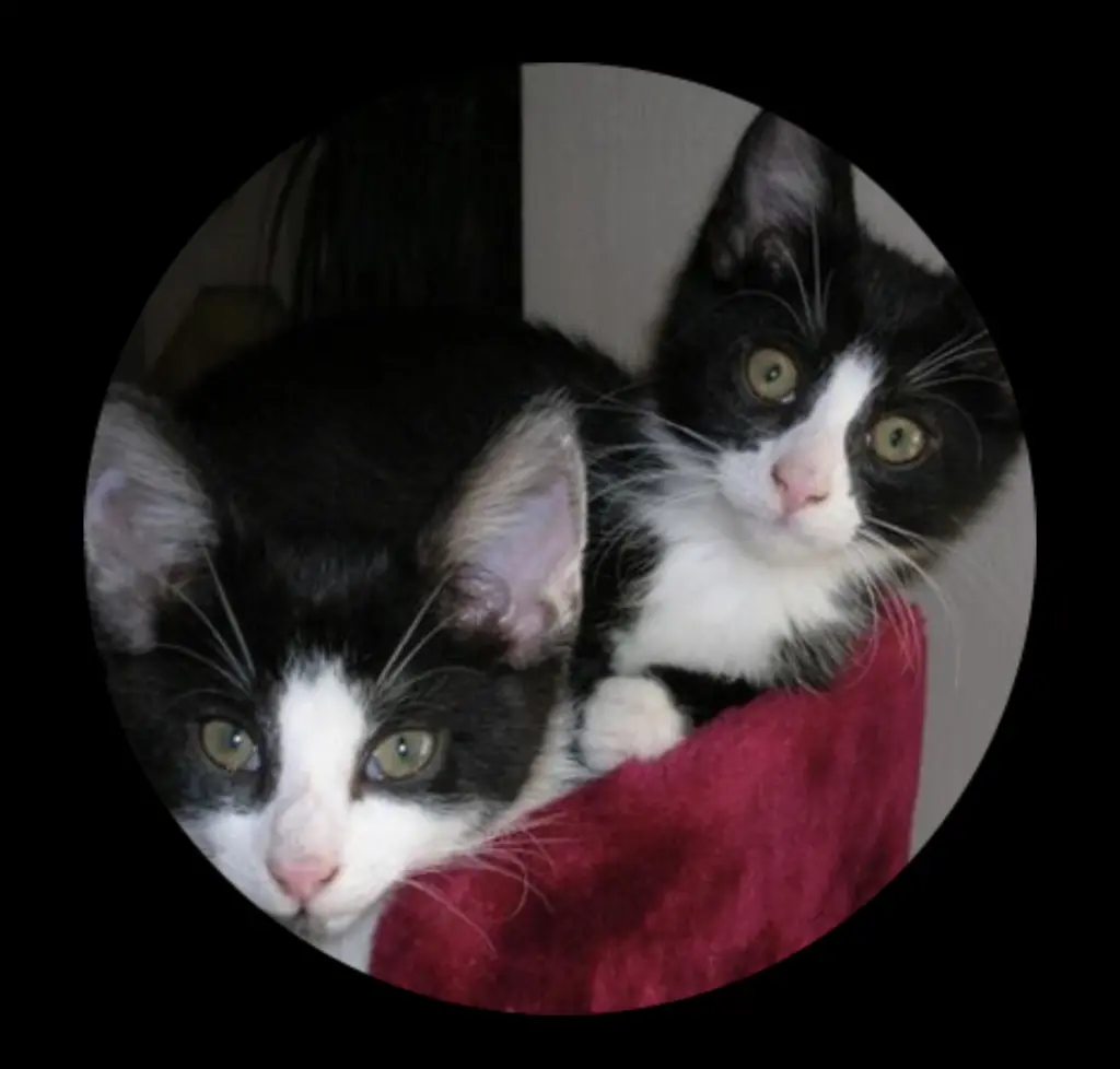 Image from Max