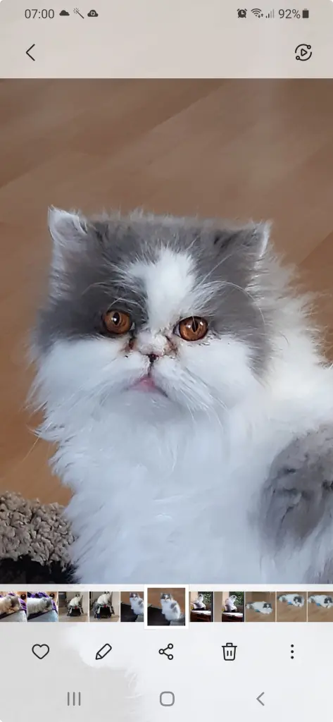 Image from Minou